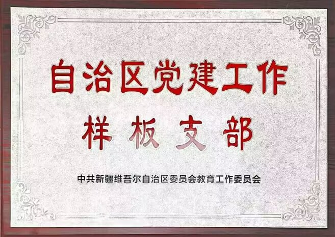 自治区样板支部1.png